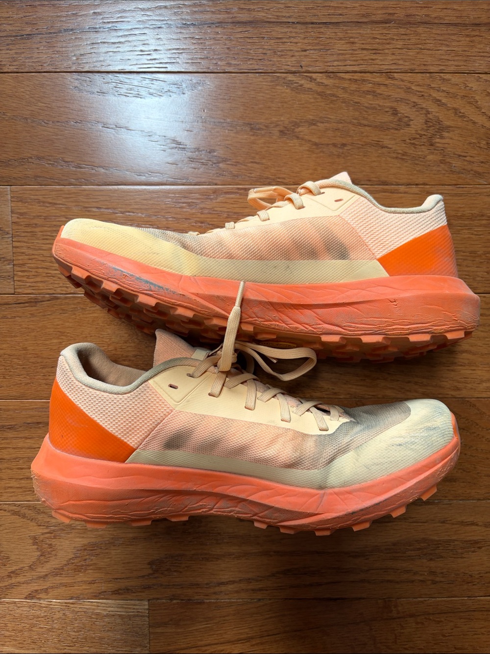 Arcteryx Norvan trail shoe